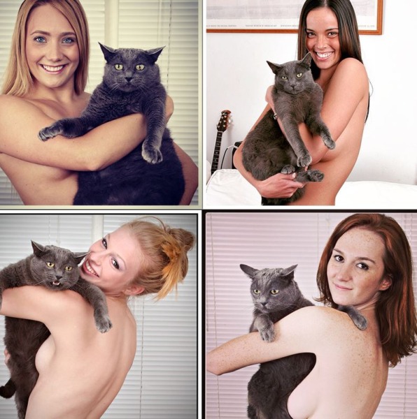 naked girls holding cats over their tits 