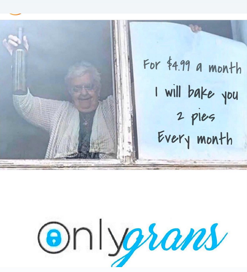 onlygrans onlyfans meme