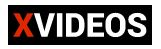 xvideos porn site logo