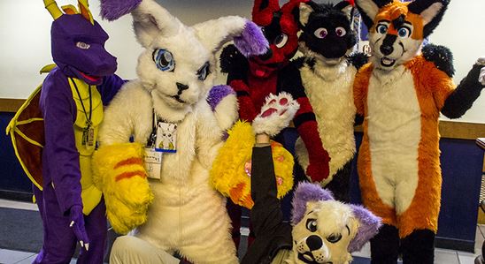 What Does It Mean To be A Furry?