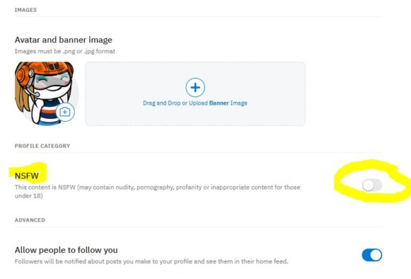 reddit nsfw setting